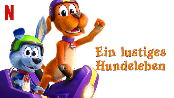 Ein lustiges Hundeleben